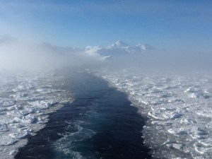Wake from the ship this morning.