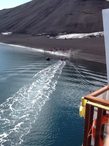 Crazy people going for the polar plunge