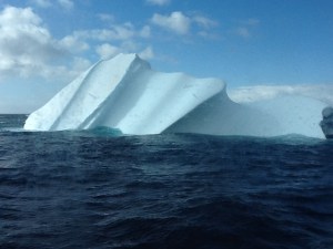 One of the last icebergs